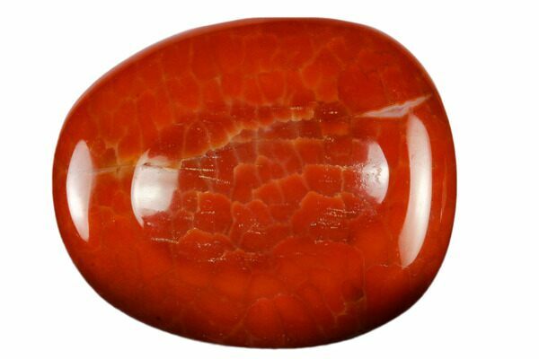 Red snakeskin agate discount